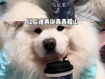 凌晨四点的张元英:一给莫呀 #张元英#kpop #奶茶 #霸王茶姬 #萌