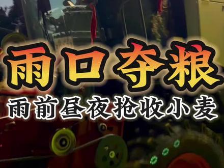 雨口夺粮,风雨间隙中昼夜守护麦田#房晓妮 #抢收小麦 #抖音新农人 #跨区作业 #新农人计划2026