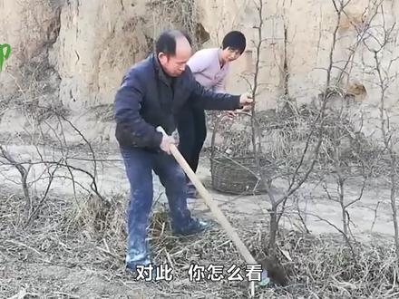 农村老话:“三角纹在手,富到九十九”,啥意思?有道理吗?