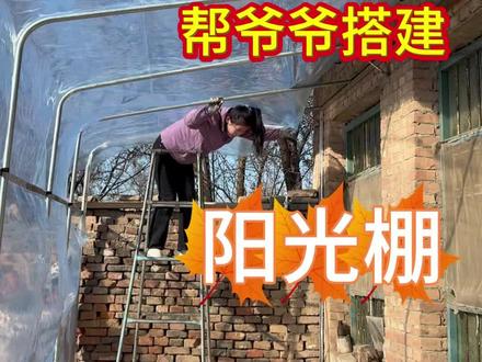 农村90后妈妈帮爷爷搭建了一个超大的阳光棚 爷爷的农村小院搭建阳光棚以后非常漂亮,以后没事的时候爷爷可以在阳光棚里喝茶下象棋都非常舒服#阳光棚#农村小院改造#乡村生活家 #威克士一击绝尘