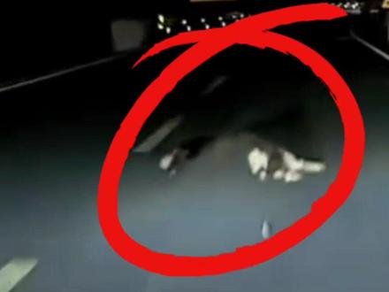 全黑国道路段,牛犊横在马路中央,撞后不到10秒便被一辆车拦下,网友:人牛上演“仙牛跳”(编辑:海文光(实习))#四川甘孜#行车记录仪拍摄#撞牛#车祸瞬间#夜间行车安全