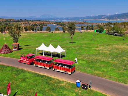 新春花海绽太平,郁金香开迎福运 郁金香大地艺术节嘉年华共赴弥勒浪漫之约#太平湖郁金香嘉年华 #弥勒太平湖 #一到弥勒就快乐 #春节去哪玩