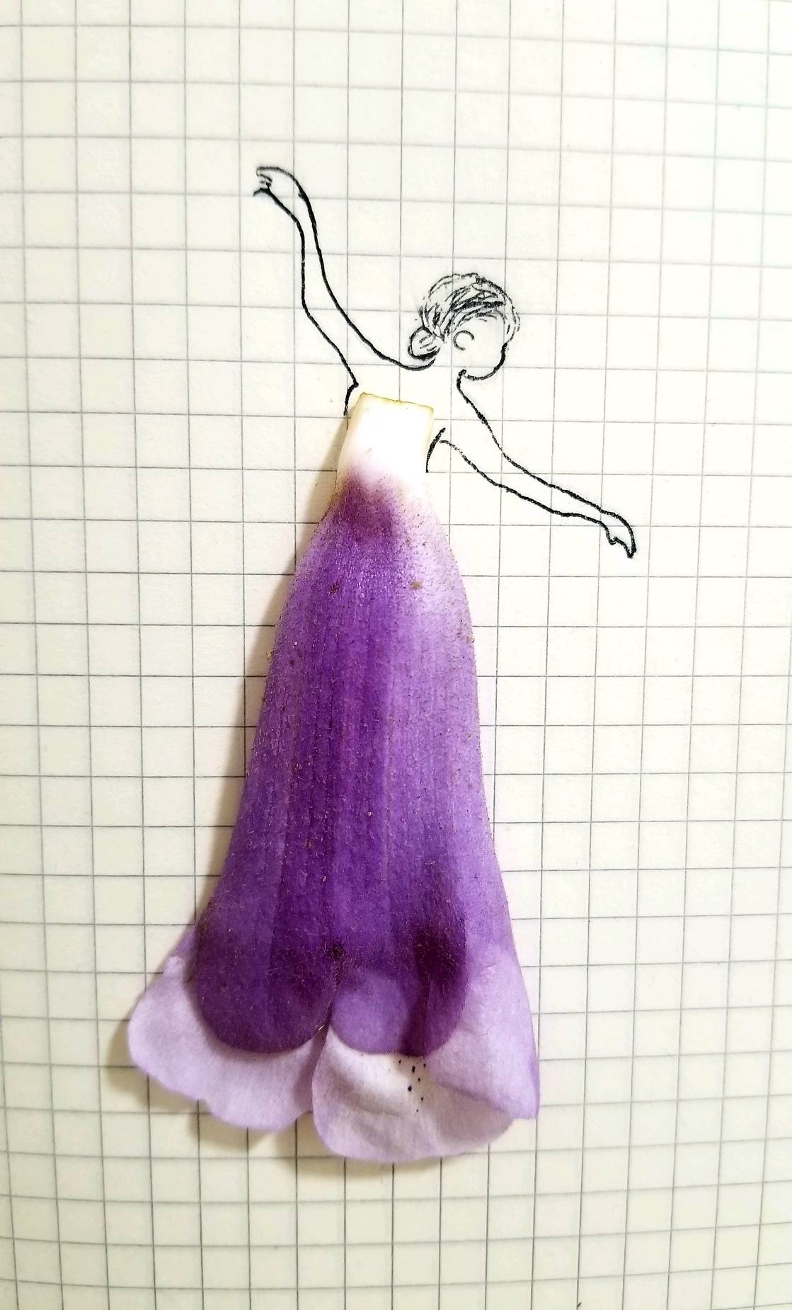 曰:梧桐花下客!#简笔画 #手绘 #梧桐花作画 #梧桐花落#治愈系