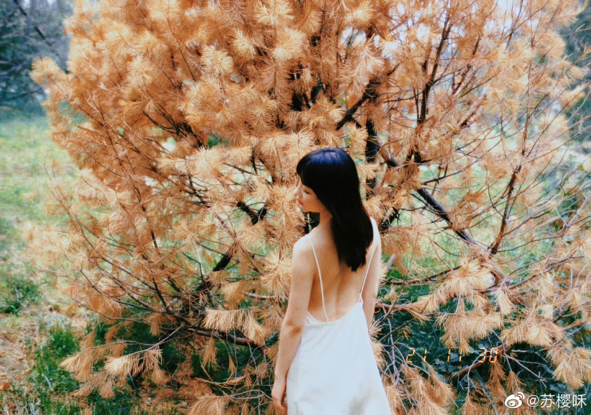 爱情 #美女 #花珊珊 #写真 #氛围感  我喜欢男孩子声音好听有磁性的