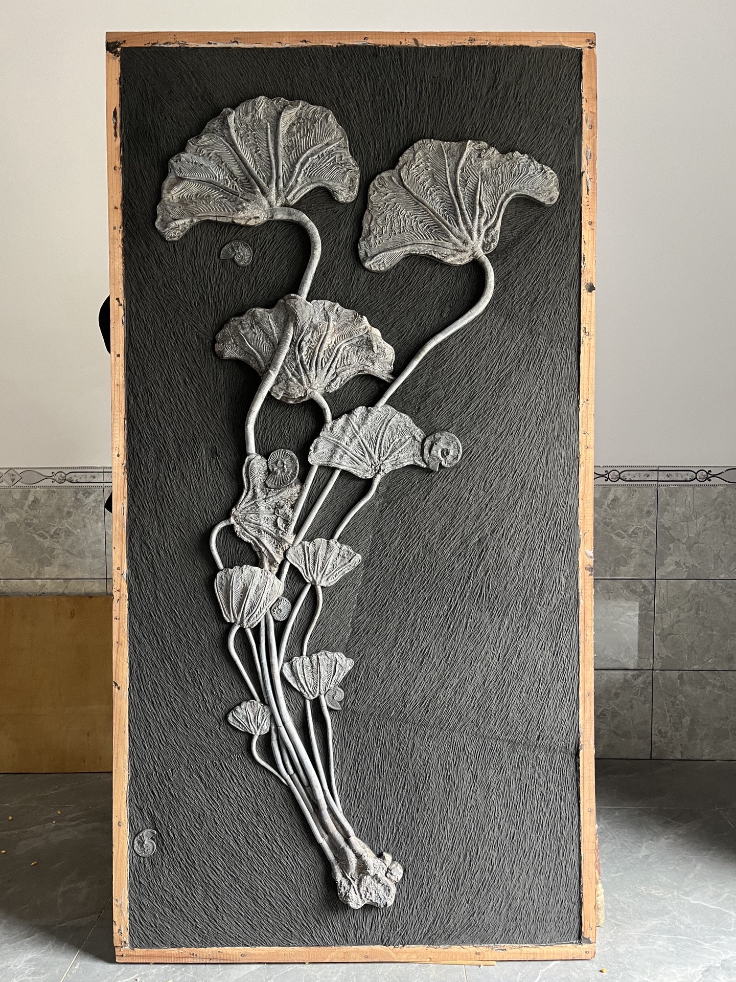 古物科普:贵州海百合化石.