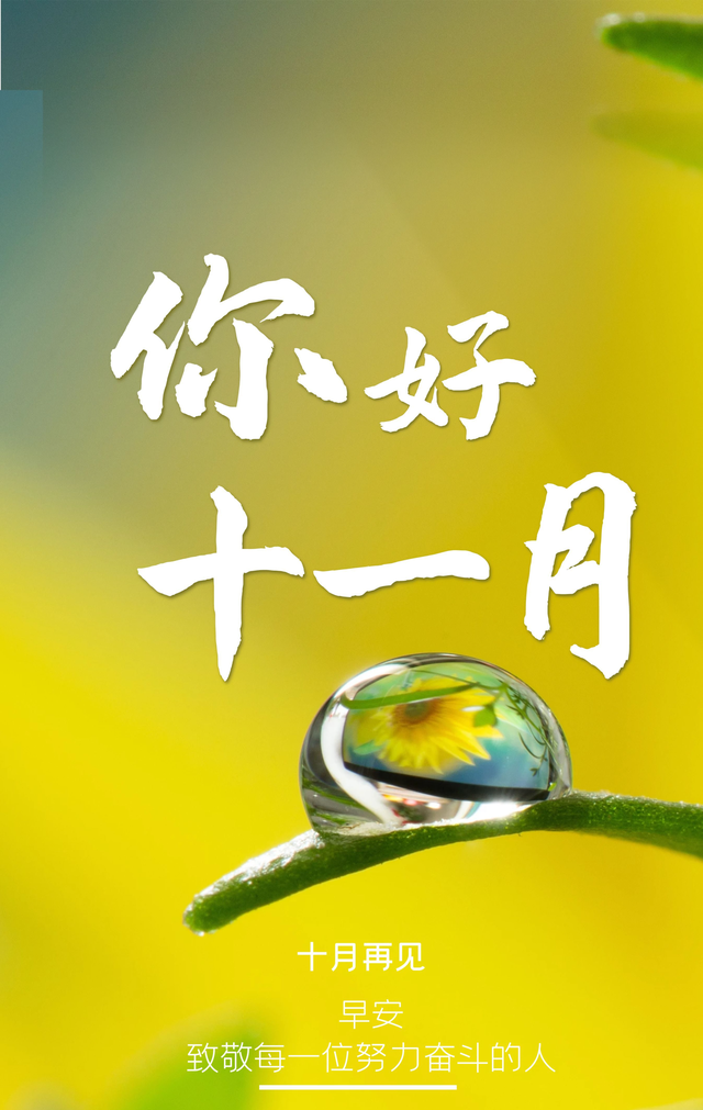 7315风7815沨:78157815你好11月9595