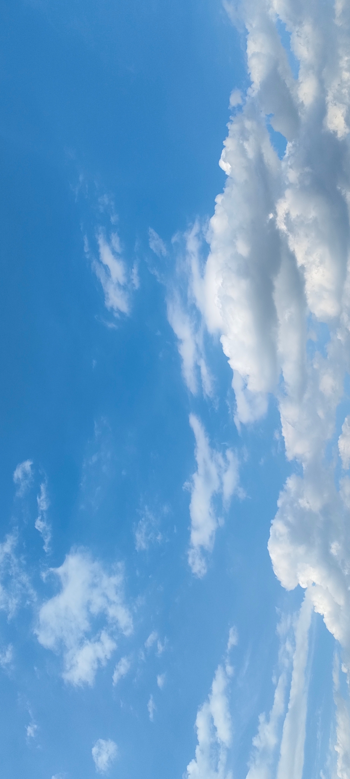 灿烂苍穹:蓝天白云晴空万里!记录好天气!