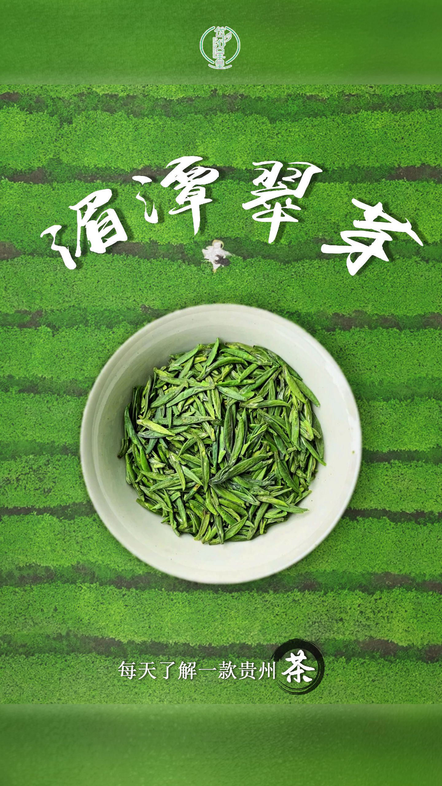 湄潭翠芽是什么?