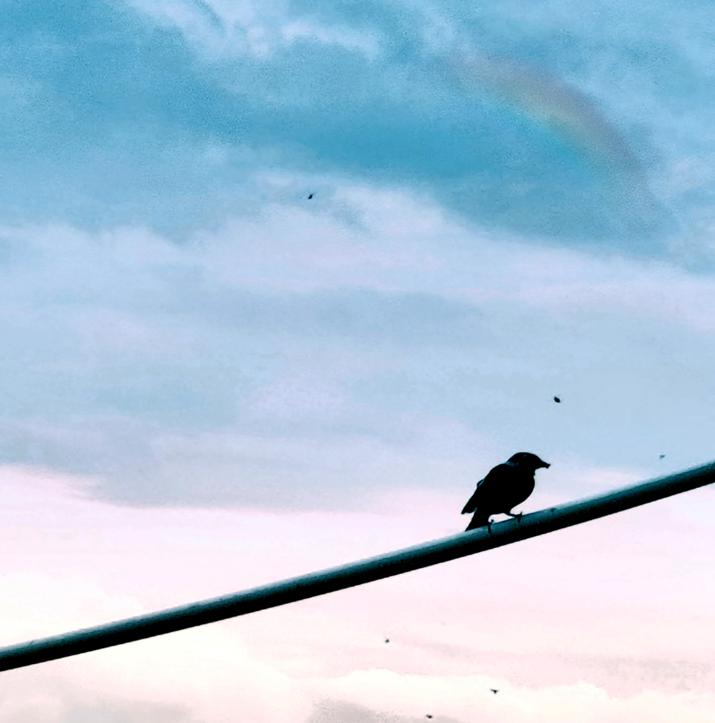 可以看见太阳,当我们打开新闻,看到巴勒斯坦地区成为人间炼狱的时候