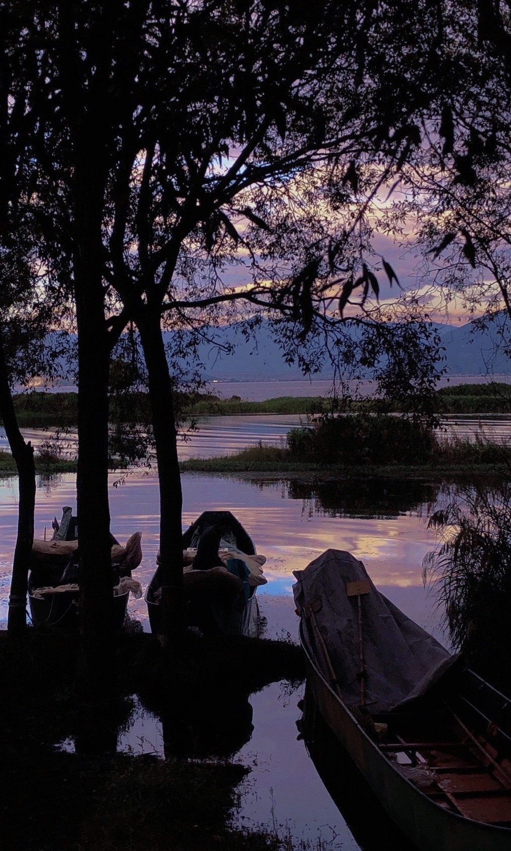 ְ̨ҵѧԺ_2021ְ̨ҵѧԺ_ְ̨ҵѧԺ