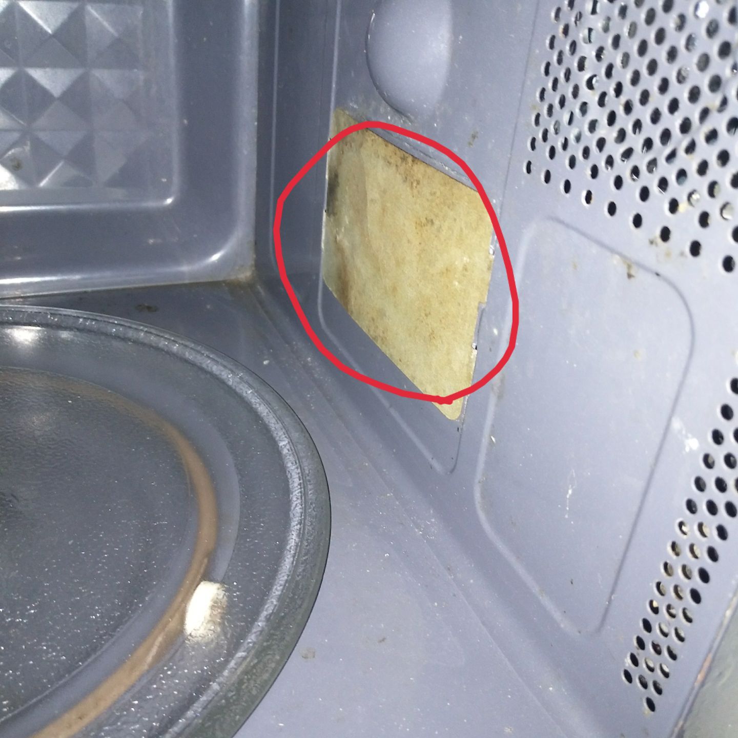 蓝色的天9096:微波炉听到放鞭炮的声就换这张云母片