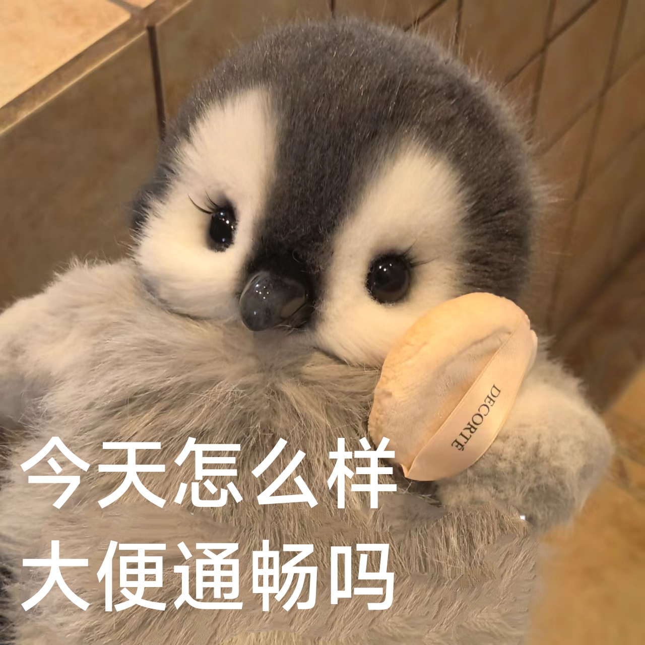 表情包大赏:小企鹅:请问今天大便通畅吗#表情包 #发给对象表情包