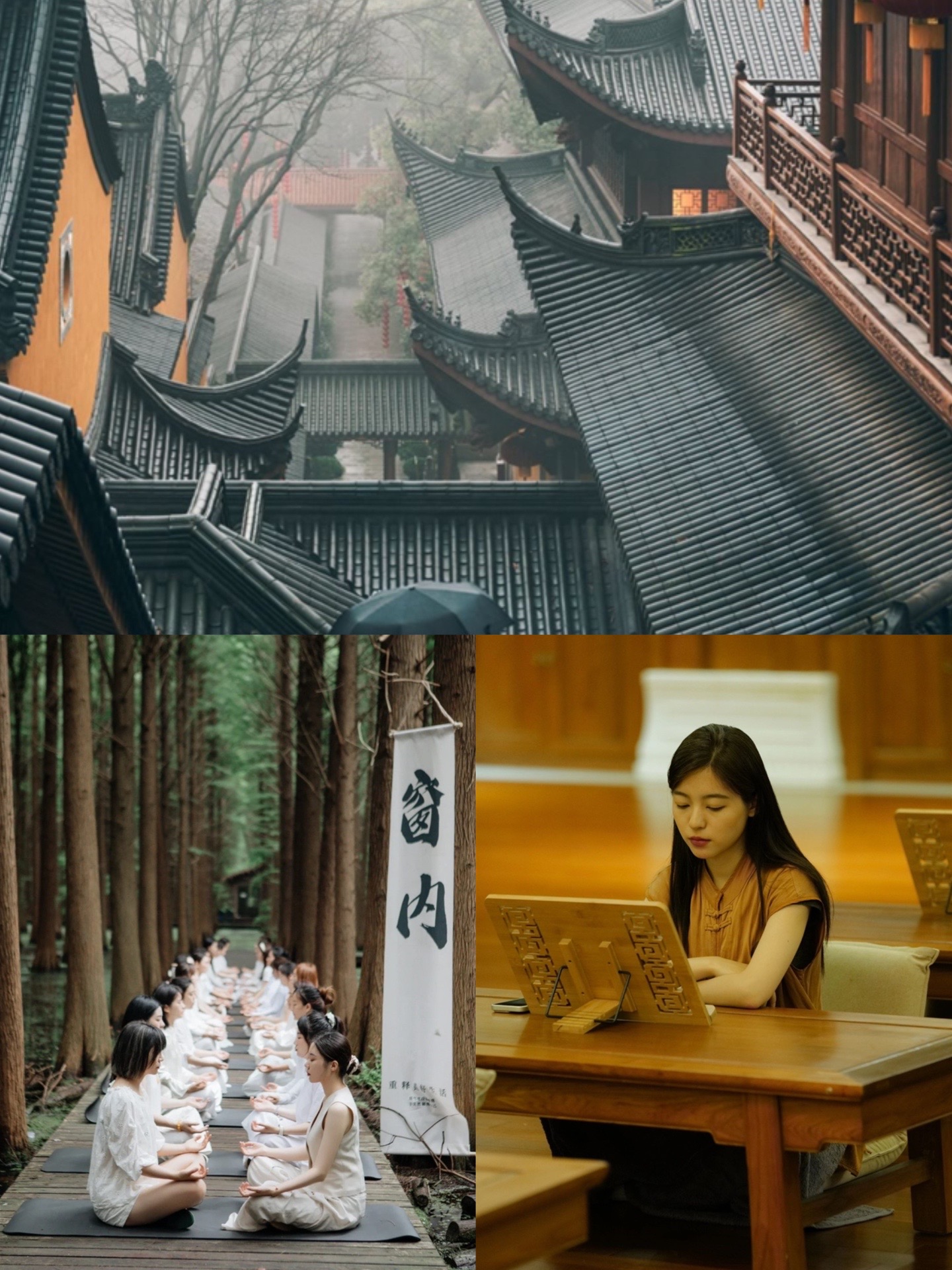 青莹:九华山寺院禅修-心安即是归处.凡是你想控制的,其实都控制了你.