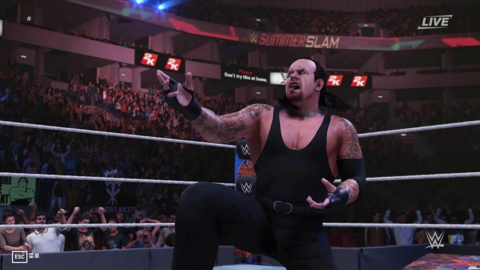 wwe 2k19冠军锦标赛设置 - 抖音