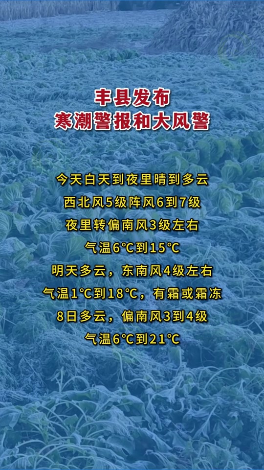 丰县天气预报今天明天 - 抖音