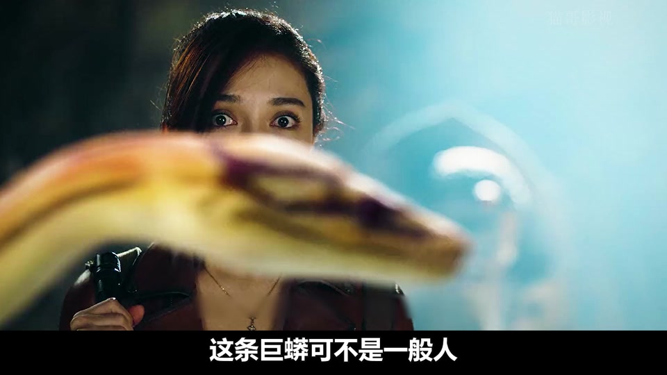 猫哥影视:男孩意外闯入食人岛,里面住着一条百米巨蟒《惊悚电影》