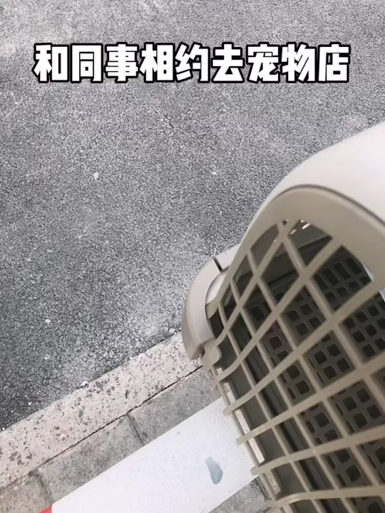 钢蛋小时候打球