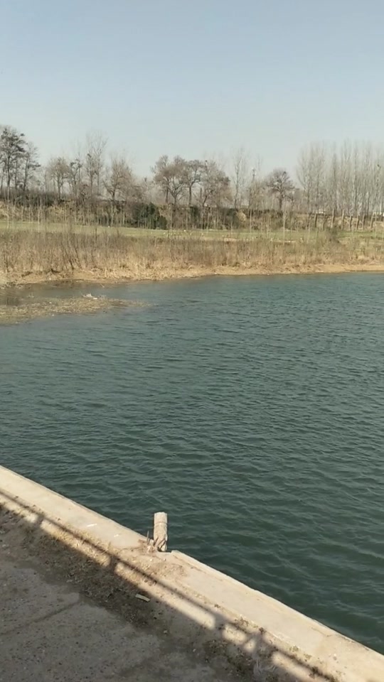 禹州市沙陀湖_禹州市沙陀湖最新规划图_禹州市沙陀湖项目中标单位