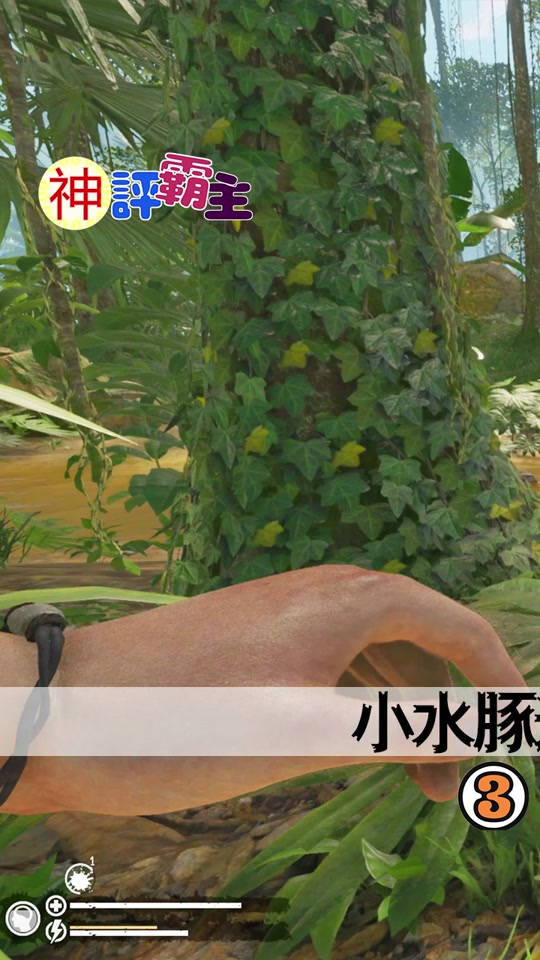 绿色地狱晾肉架为什么会变质 - 抖音