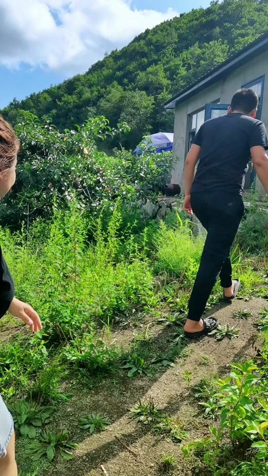 东北 村花_东北村花三兄弟_东北村花米朵 - 抖音