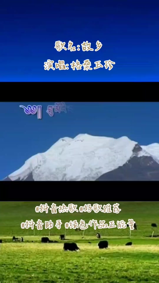 格桑玉珍牵着河边姑娘走mv - 抖音