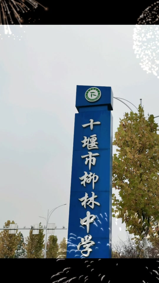 十堰柳林高中高考喜报