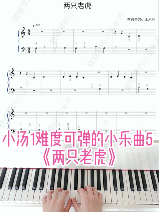 两只小老虎_两只小老虎的乐谱_两只小老虎一起学跳舞 - 抖音