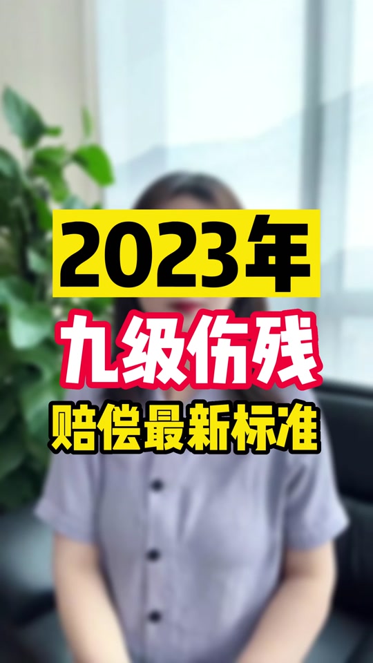 九级伤残赔偿标准2024湖北襄阳 - 抖音
