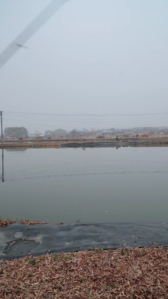 范家屯平阳水库钓鱼怎么收费 - 抖音