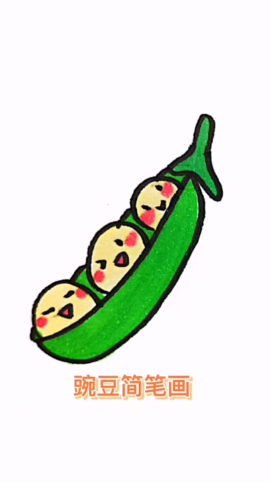 豆子简笔画_豆子简笔画彩色_豆子简笔画可爱 - 抖音