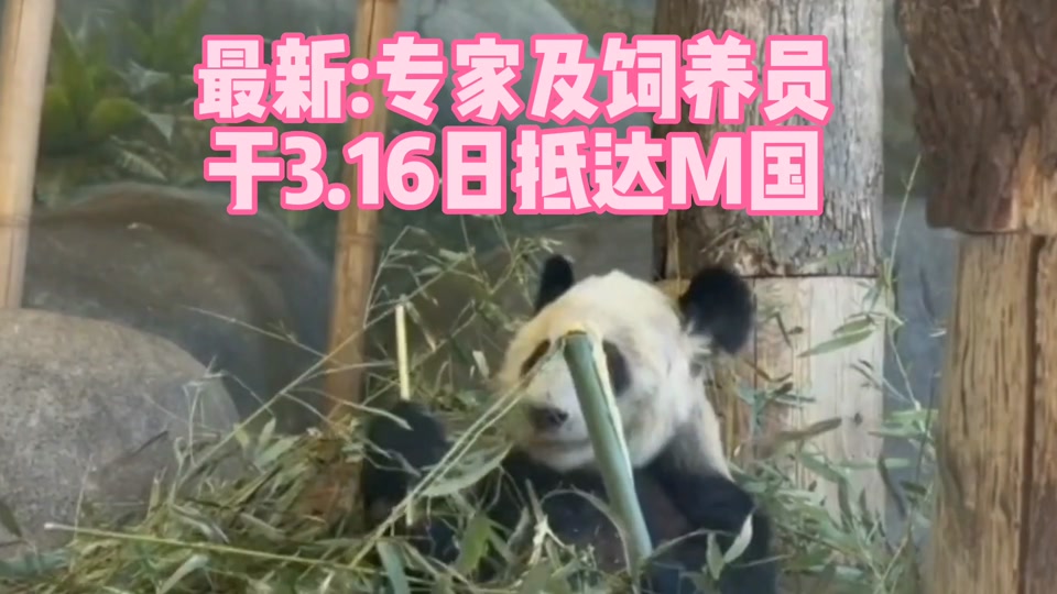 15a5fc5448b849afbcd6e37a526784db_1679019208?x-expires=1994565600&x-signature=1ZSjkIKZe2FTglEpdZWjgB3h4BI%3D&from=1516005123