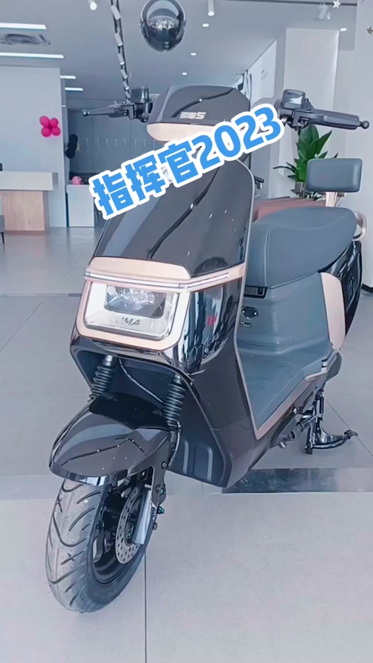 爱玛指挥官a700e38标准版dk - 抖音