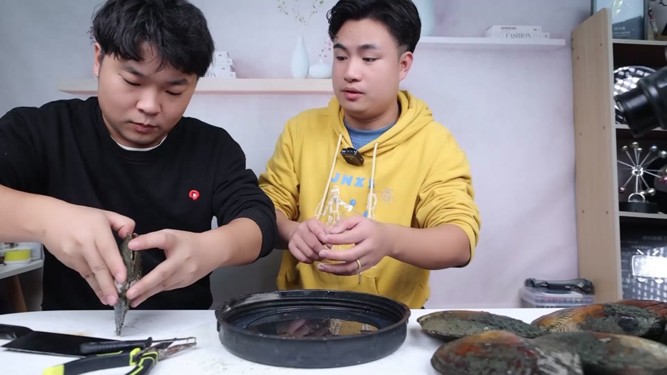 贪吃瑜和大鑫为什么不在一起了_馋大鑫的女朋友长什么样_馋大鑫的老婆