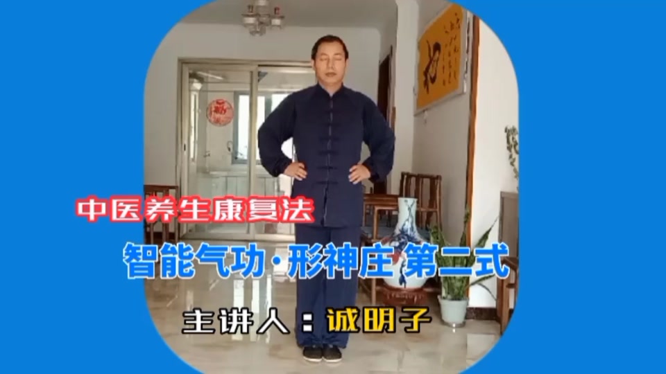智能气功形神桩练法全套 - 抖音