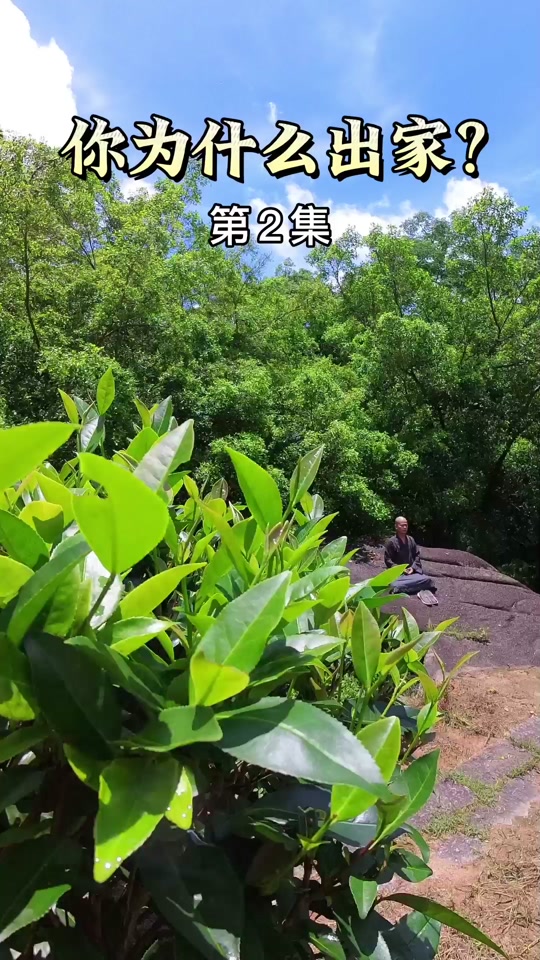 中国圣凯法师四大净土此较