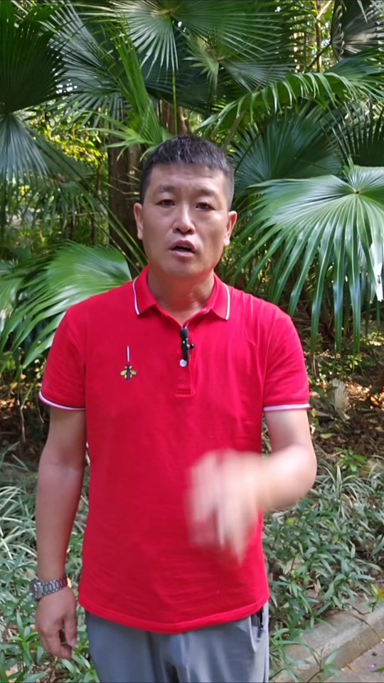 果敢四大家族中的刘阿宝是什么来头#缅北#防诈骗#抖音小助手#中缅边境