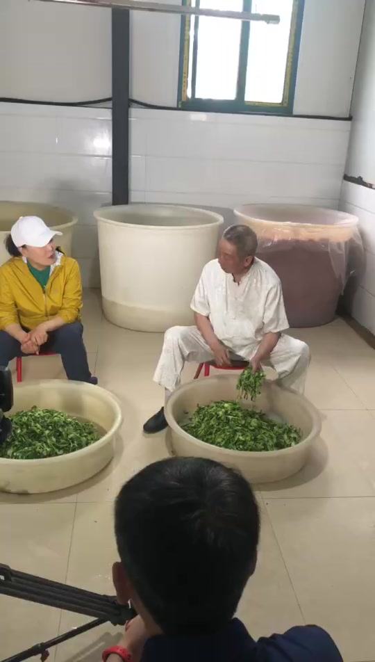 央视生财有道外景女主持人_央视生财有道外景女主持人张露馨