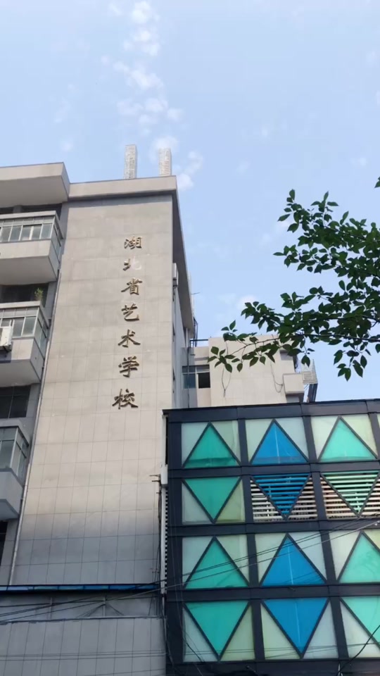 湖北艺术职业学院今年还能报名吗 - 抖音