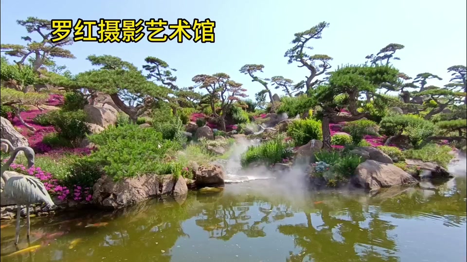 罗红女儿罗小妹