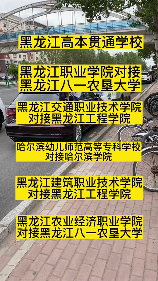 黑龙江2024高本贯通怎么报考 - 抖音