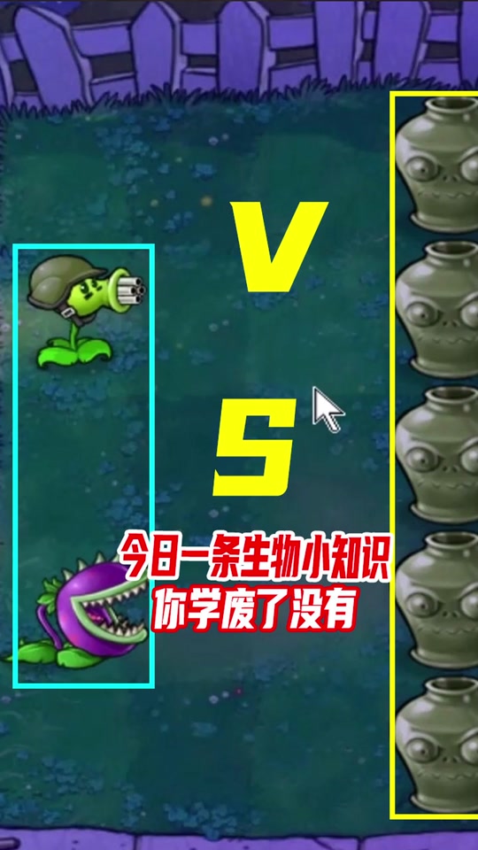 方块大背头辣椒_方块大背头!_方块大背头是什么 - 抖音