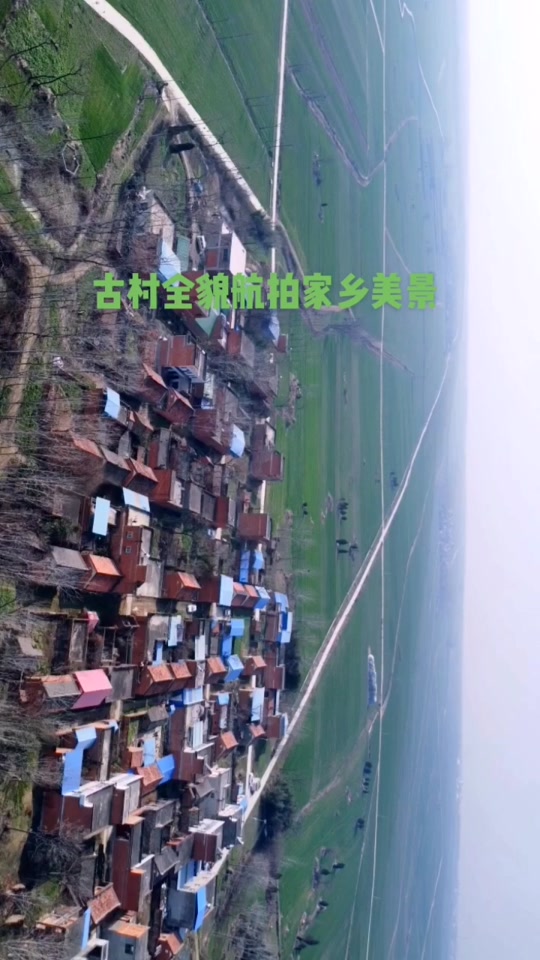 市区去构林东顶有几个大殿 - 抖音