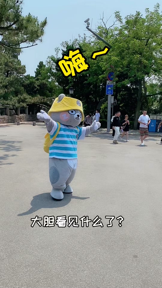 青岛张大胆开心熊本人