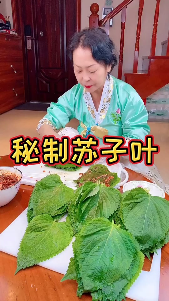 抖音苏子说球=抖音苏子户外第一人简历
