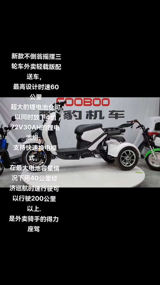 电动三轮车哪个品牌好