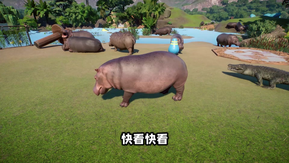 公狒狒游戏解说 动物园之星_公狒狒游戏解说动物园之星1_公狒狒游戏