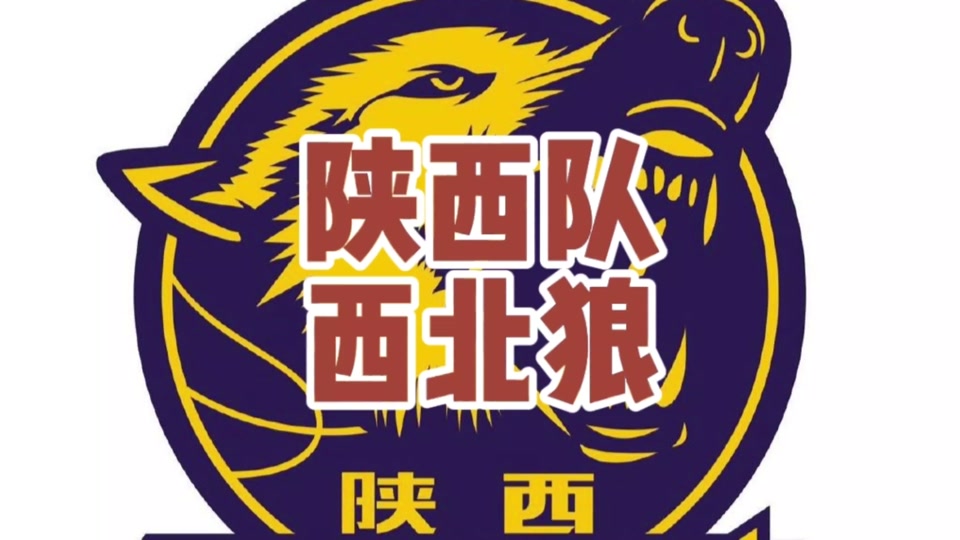陕西队西北狼散票在哪买 - 抖音