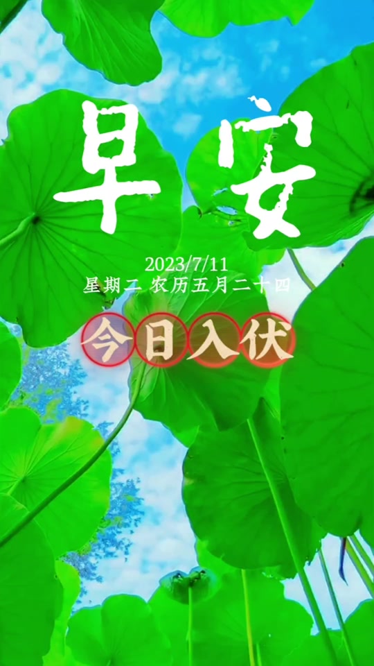 2024年哪天入伏是7月11日 - 抖音