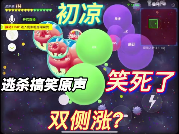 抖音淘淘兔=淘淘兔的图片