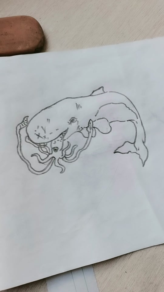 乌贼简笔画_乌贼简笔画彩色_大王乌贼简笔画 - 抖音